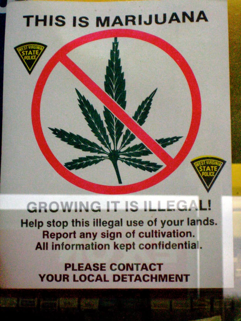 Michigan Asks Public To Be Vigilant of Marijuana Plots