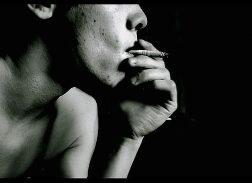 Marijuana Protects "Stressed" Rats from Opiate Addiction
