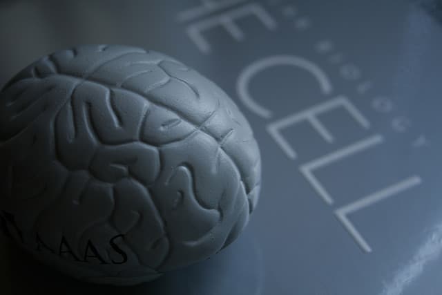 Parents - Prevent Drinking to Prevent Developmental Brain Damage