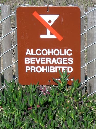 Worldwide, Alcohol Leads to Early Death for 1 in 25. In Europe, It’s 1 in 15