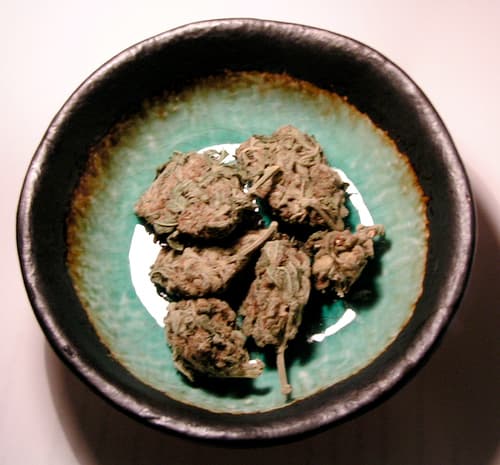 Toronto Police Arrest 2 Dirty Cops in Marijuana Grow-Op Bust