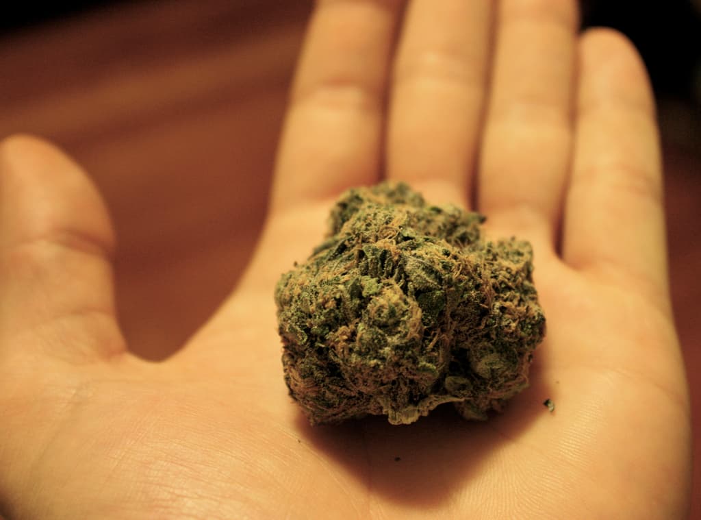Marijuana Addiction