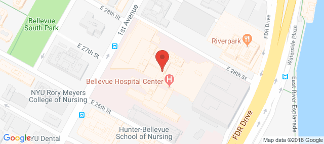 NYC/HHC Bellevue Hospital Center - Child and Adolescent Partial Hospital