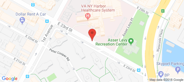 VA NY Harbor Healthcare System - Manhattan Campus