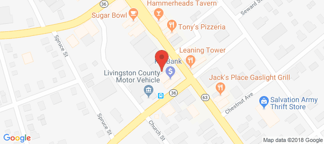 Council on Alcohol and Subst Abuse of - Livingston County