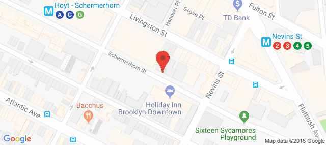 Brooklyn Community Services