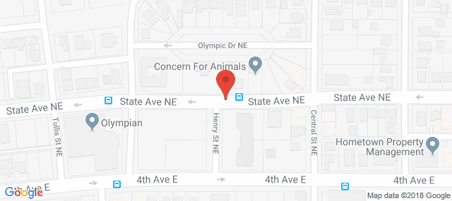 Olympia Psychotherapy