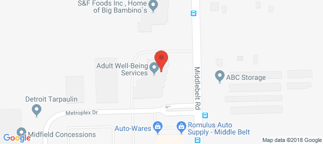 Adult Well Being Services