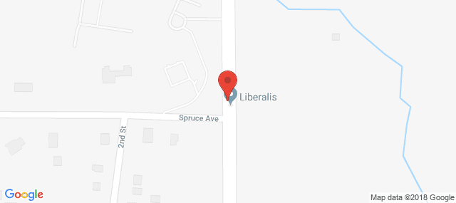 Community Addiction Recovery - Enterprise (CARE)/Liberalis