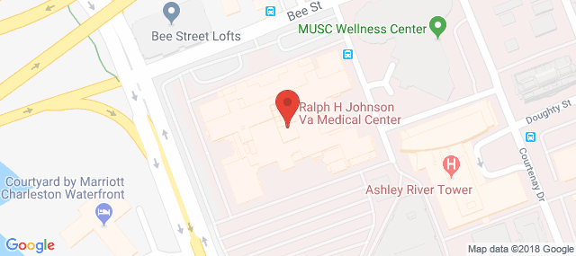 Ralph H Johnson VA Medical Center - Substance Treatment and Recovery (STAR)