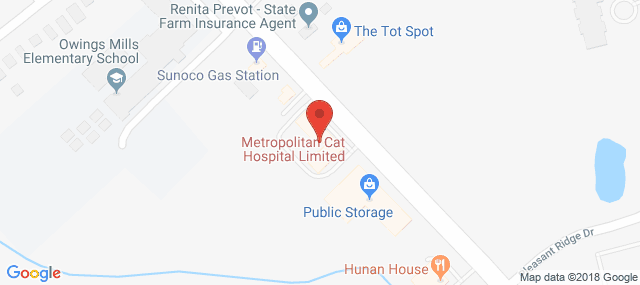 1st Alternative Counseling