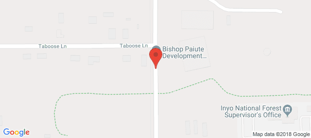 Toiyabe Indian Health Project - Family Services Department