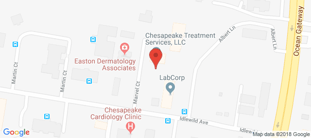 Chesapeake Treatment Services