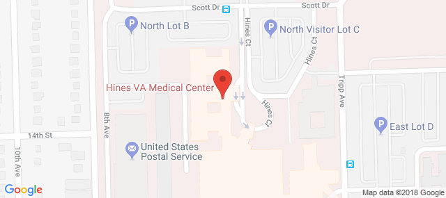 Vet Affairs/Edward Hines Jr Hospital - Substance Abuse Section