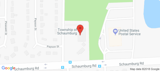 Kenneth Young Center at - Schaumburg Township