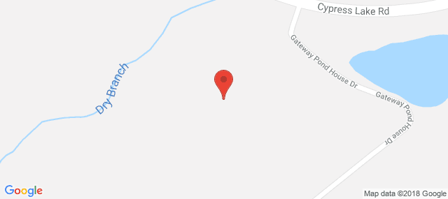 Pineland BHDD - Womens Place