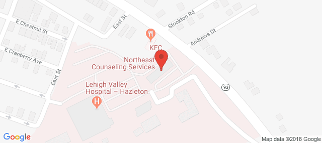 Northeast Counseling Services
