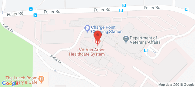 VA Ann Arbor Healthcare System - Mental Health Services