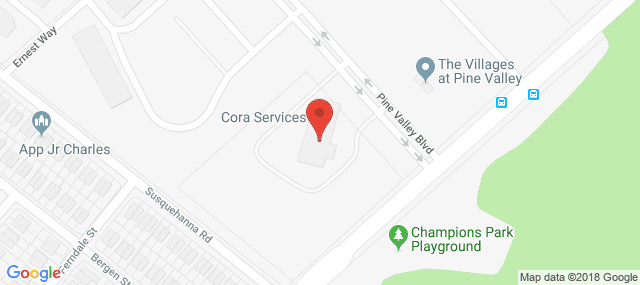 CORA Services - Community Services Division