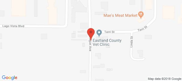 Center for Life Resources - Eastland County Office