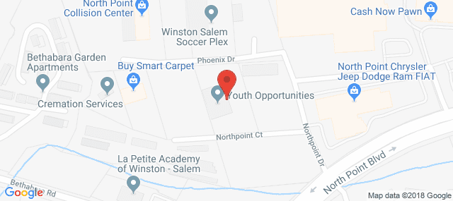 Alexander Youth Network