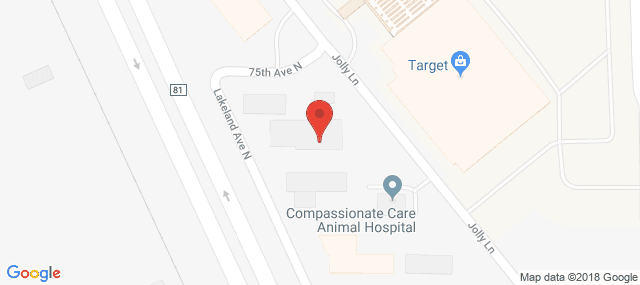 Specialized Treatment Services
