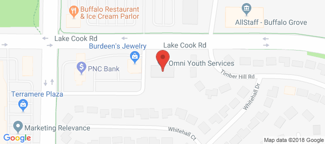 OMNI Youth Services