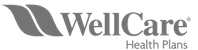 WellCare logo