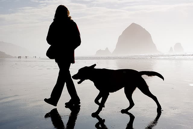 Depression Lifestyle Changes - Why Getting Active Reduces Feelings of Depression