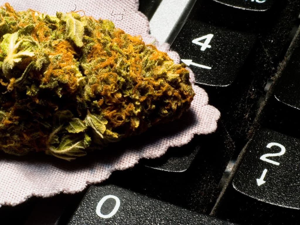Californian NAACP Offers Support to Marijuana Legalization Measure