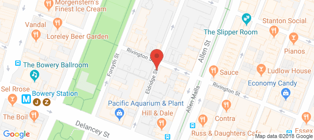 University Settlement Society of NY - Victory Guild Consultation Center
