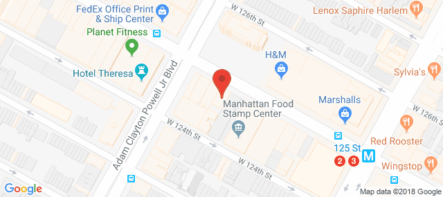 Visiting Nurse Service of New York - Manhattan Geriatric Outreach