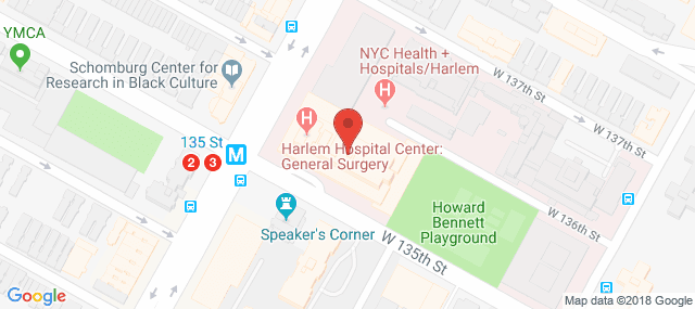 NYC/HHC Harlem Hospital Center - Division of Child and Adolescent Psych