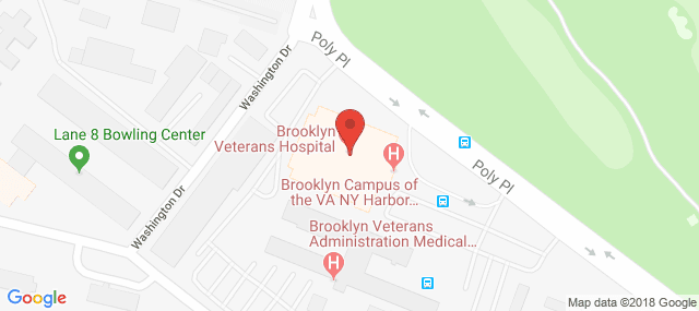 New York Harbor Healthcare System - Brooklyn Campus SATP