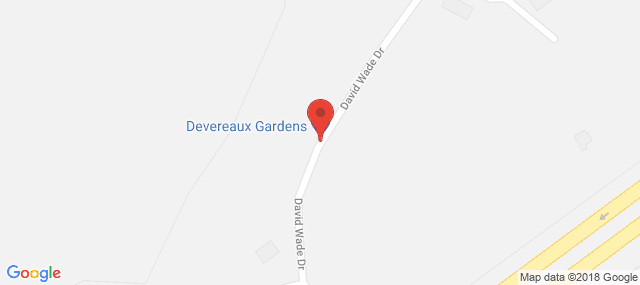 Devereux Texas Treatment Network