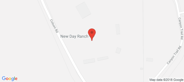 New Day Ranch