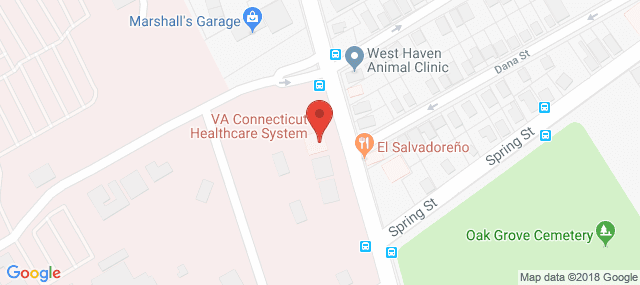 VA Healthcare Systems of Connecticut - Substance Abuse Treatment Program
