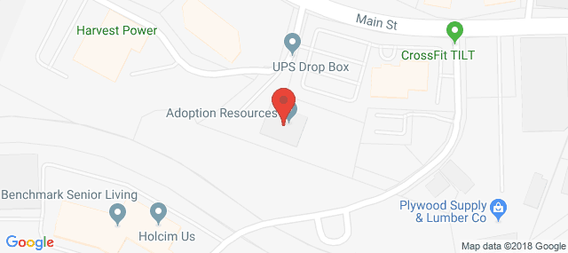 Jewish Family and Childrens Service