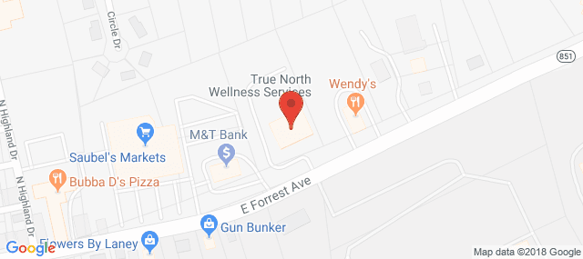 TrueNorth Wellness Services