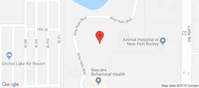 Childrens Treatment Center - The Harbor Behavioral Healthcare Inst