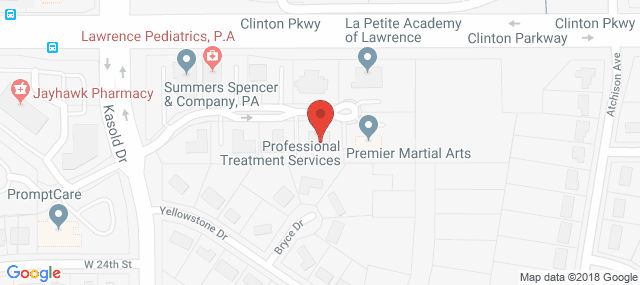 Professional Treatment Services