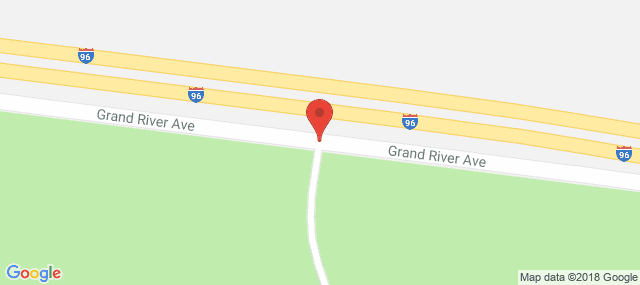 Ann Arbor Consultation Services