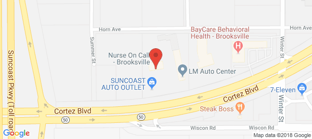 BayCare Behavioral Health