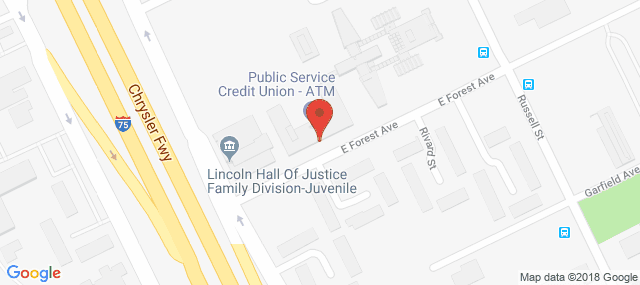 Third Circuit Court of Michigan - Clinic for Child Study