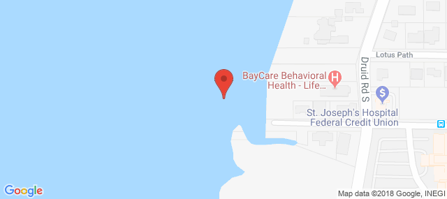 Baycare Life Management