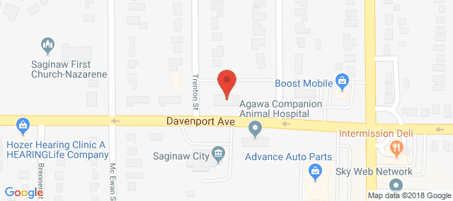 Child and Family Services of - Saginaw