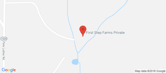 First Step Farm of WNC - Womens Facility