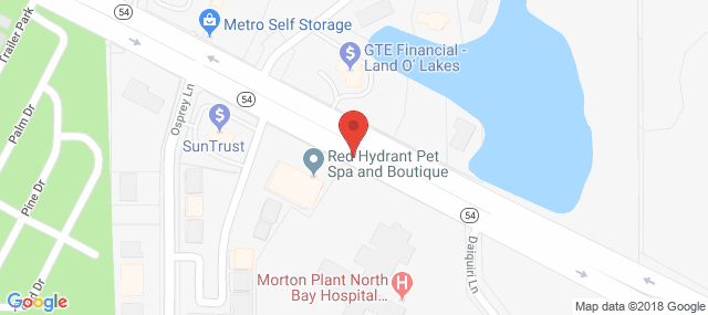 Morton Plant North Bay Recovery Center - Pediatric Unit