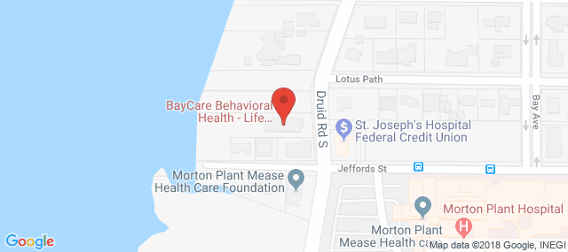 BayCare Life Management Services