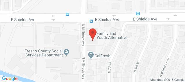 Family and Youth Alternatives - A Program of Mental Health Systems